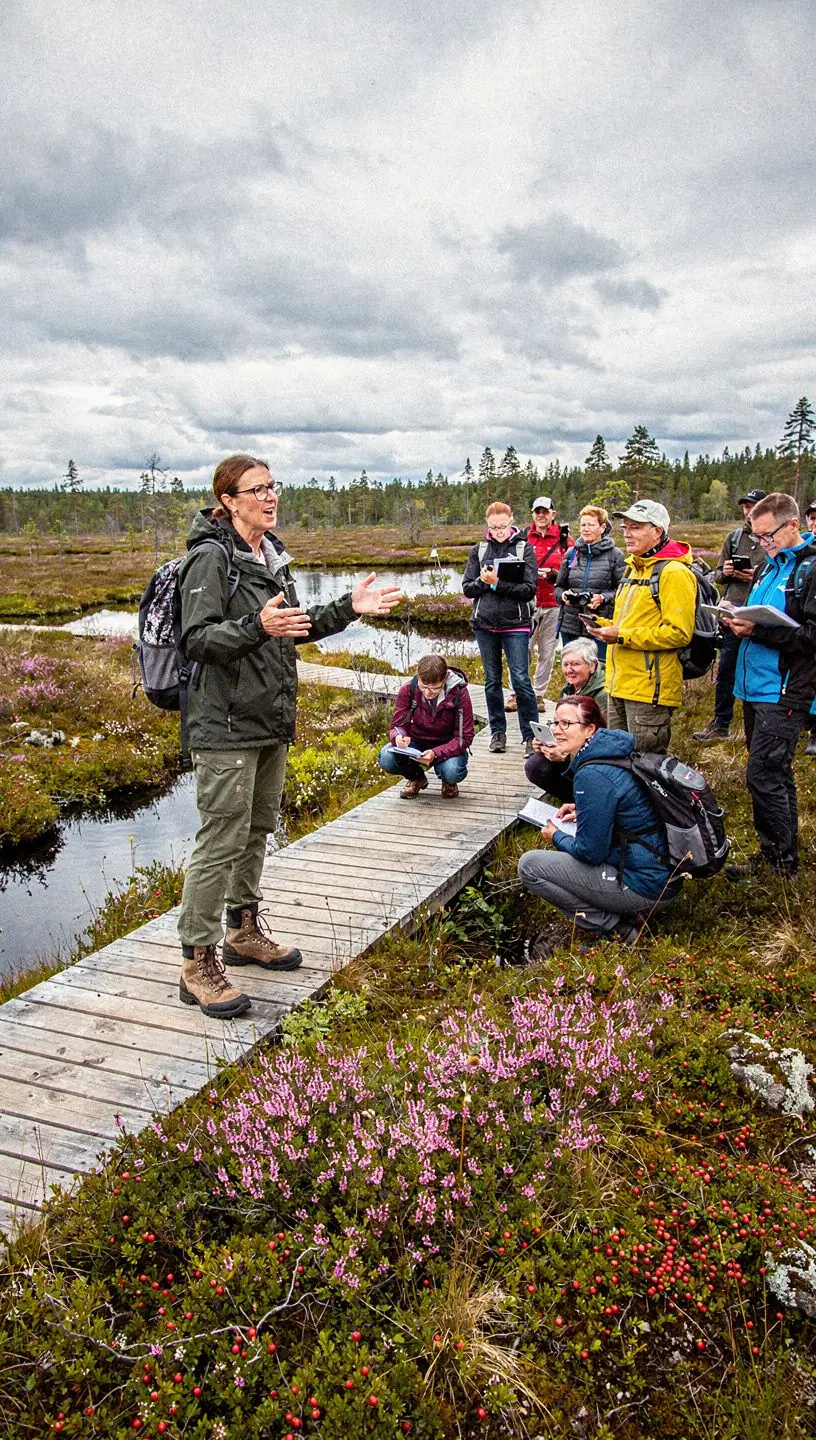 Matkarada, mis lookleb läbi roheliste maastike ja metsade.